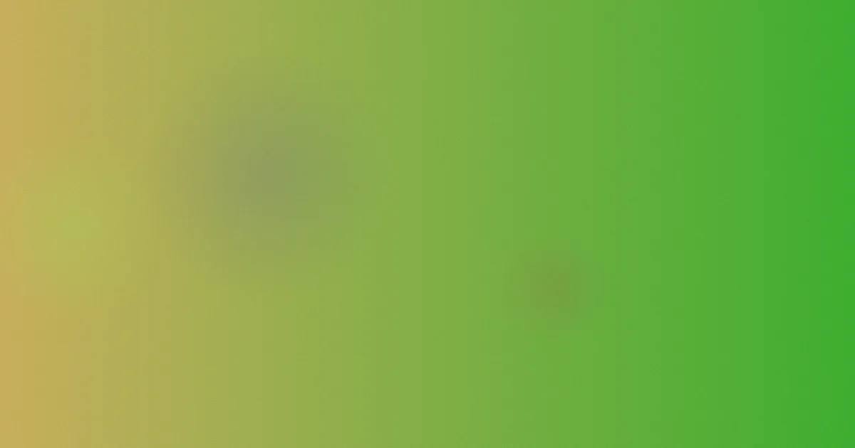 梅莉测评：5步避坑